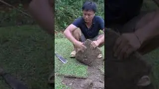 Primitive Technology, Survival instinct - Bushcraft Alone in 365 Days Building Cabin #shorts