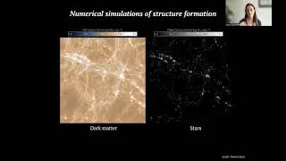 Explainable deep learning models for cosmological structure formation