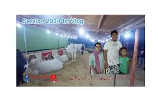 Bakra Eid Session 2024 ka 1st Vlog #dailyvlog #trending #goat #youtuber