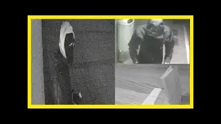 Skickade penisbilder &ndash; f&auml;lldes av leverfl&auml;ck