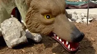 Why there&rsquo;s a fake coyote on duty at Nathanael Greene Park in Springfield, Mo.