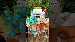 August 2023 - MUST VISIT events in Switzerland