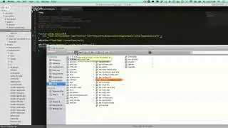 Build a WordPress Plugin
