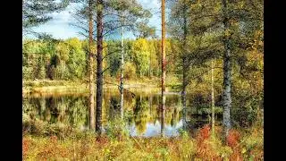 Relaxing Background Noise 2 Hours of Gentle  Duck Pond Lake Nature Sounds Fall Frame TV Art