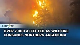 Massive Wildfire Forces Evacuations in Northern Argentina
