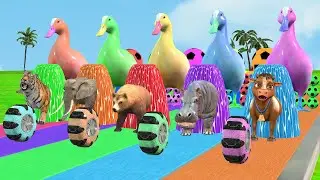 Long Slide Game With Animals Cow Duck Gorilla Hippo Tiger - Paint Animals Game 3d Funny Spidy Glow