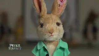 Steiff's Cottontail Bunny - Peter Rabbit Licensed