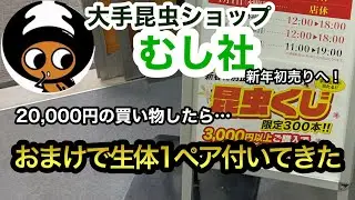 【昆虫くじ】むし社の新春特別企画の昆虫くじで運試しをした結果…！？購入した生体・当たった景品紹介