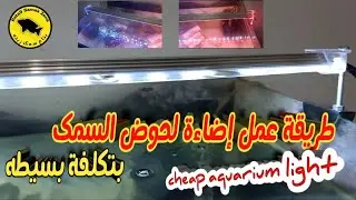 طريقة عمل إضاءة لحوض السمك بتكلفة بسيطه how to make aquarium light