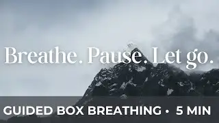 Guided 5 Minute Box Breathing | Calm Your Mind & Reduce Stress