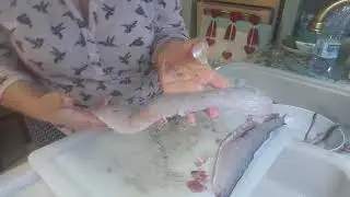 Sfilettare il barracuda o luccio di mare
