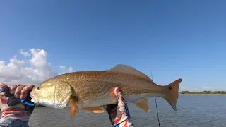 Targeting Grassy Edges for Redfish
