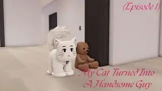 🐱 My Cat Turned Into A Handsome Guy Episode 1