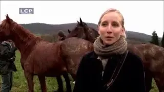 Le Graal sur LCP - Réhabilitation chevaux laboratoire (2016)