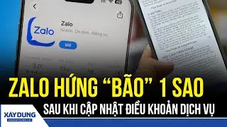 Zalo hứng “bão” đánh giá 1 sao sau khi cập nhật điều khoản dịch vụ | BXD