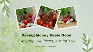 FRESHPRO_Video_Horizental