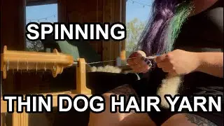 Dog hair yarn, indigo experiment and chicken news