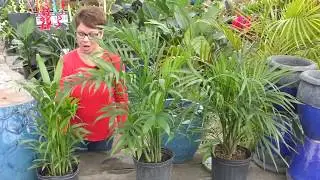 Earth Works Plants & Products Showcase February 2020