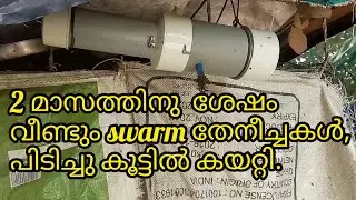 how to catch swarm stingless bee using trap | തേനീച്ചകൾ വീണ്ടും വന്നപ്പോൾ