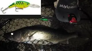 Wisconsin Dells Fishing Report Update 3-30-15 [Slot Walleye C'n'R]