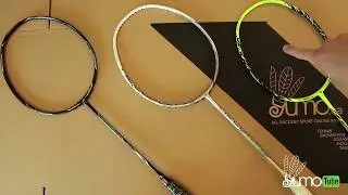 Badminton Racket Stiffness