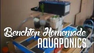 Benchtop-scale Homemade Simple Recirculating Aquaculture System