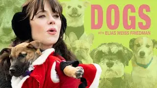 Zooey Deschanel's Holiday DOGS Adventure in New York City (SPECIAL HOLIDAY EPISODE)