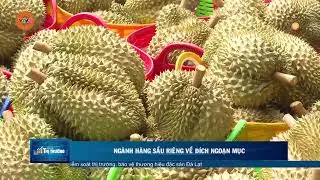 NGÀNH HÀNG SẦU RIÊNG VỀ ĐÍCH NGOẠN MỤC | VTV5