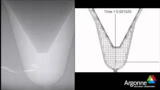 Nozzle Flow Simulations Accounting for Need Transients
