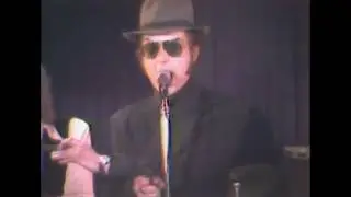 THE WILD ROVER Ricky Cool and the Icebergs  live in 1977