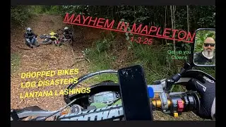Mayhem in Mapleton. Log hop fails, Dropped bikes and scratchy Lantana.