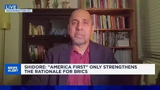Most of BRICS not really looking to 'rival' the US: Expert