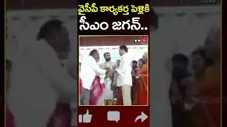 AP CM Ys Jagan Attend to YSRCP Activist Marriage | Vijayawada | PDTV News