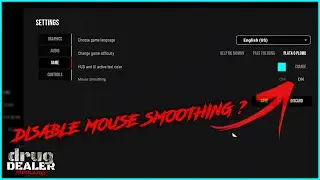 DDS | Raw Mouse Input Enabled (not really)