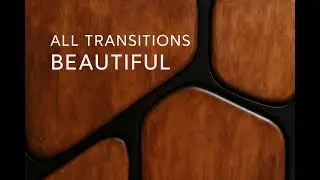 All Transitions Beautiful   Druvtara Studio