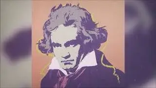 Schwarm Classical Music Insights trailer