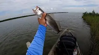 Speckled Trout on Topwater - Grand Isle Kayak Fishing