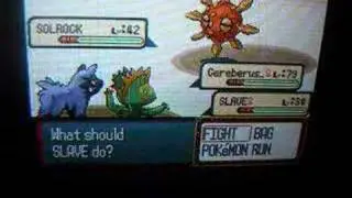 Pokemon Sapphire Poochyena Only Run; Tate & Liza