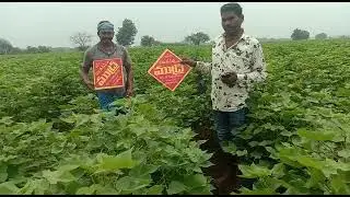 Vasanth seeds farmers response Mudra