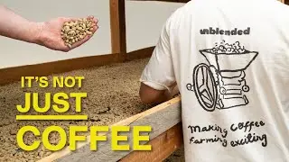 We Made a Mandarin Co-Ferment in Colombia! &ndash; Valor Coffee Podcast Ep. 159