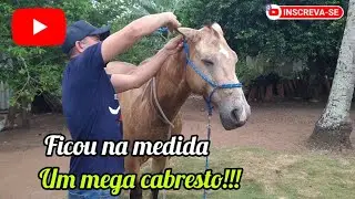 COMO FAZER CABRESTO 7 NÓS USANDO DESTORCEDOR ✅▶️⏯️FICOU SHOW ✅