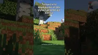 Ванильный сервер маинкрафта #minecraft #свойсервермайнкрафт #ванила #ashesmc #мем #memes #майнкрафт