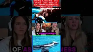 The Pool Turned Red - Orca Trainer Tamarie Tollison's HARROWING Last Moments Above Water#news #uk