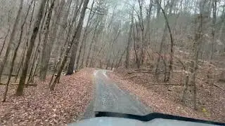 Turkey scouting