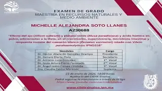 Examen de Grado de Michelle Alejandra Soto Llanes
