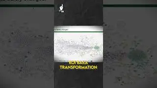 Pakistan's Export Evolution |  A Comparative Analysis Since 1995 | The Revival