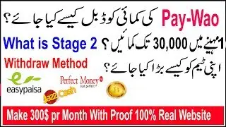 Paywao Auto Pool Launched |Stage Two Upgradation| What Is Stage Two? Urdu/Hindi