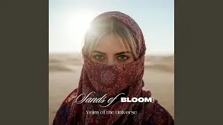 Middle Eastern Mirage