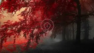 Safemoon Protocol - Autumn (Wallpaper Engine)