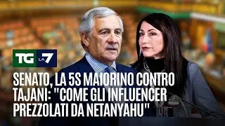 Senato, la 5S Maiorino contro Tajani: 